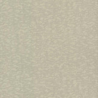 Weathered Cypress Wallpaper Wallpaper Antonina Vella Double Roll Taupe 