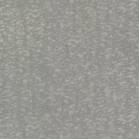 Weathered Cypress Wallpaper Wallpaper Antonina Vella Double Roll Steel Blue 