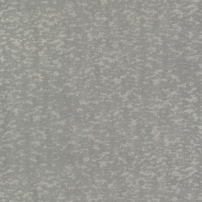 Weathered Cypress Wallpaper Wallpaper Antonina Vella Double Roll Steel Blue 