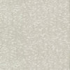 Weathered Cypress Wallpaper Wallpaper Antonina Vella Double Roll White 
