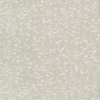 Weathered Cypress Wallpaper Wallpaper Antonina Vella Double Roll White 