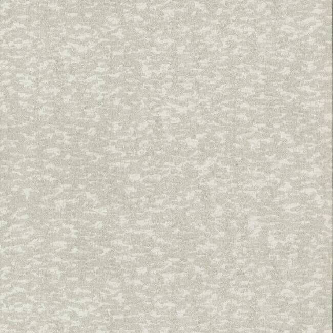 Weathered Cypress Wallpaper Wallpaper Antonina Vella Double Roll White 