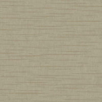 Tiger's Eye Wallpaper Wallpaper Antonina Vella Double Roll Taupe 