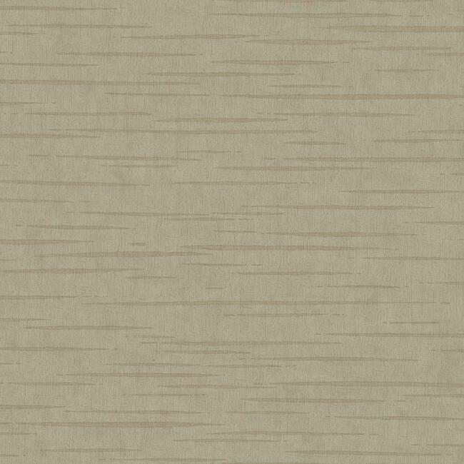 Tiger's Eye Wallpaper Wallpaper Antonina Vella Double Roll Taupe 