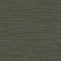 Tiger's Eye Wallpaper Wallpaper Antonina Vella Double Roll Charcoal 