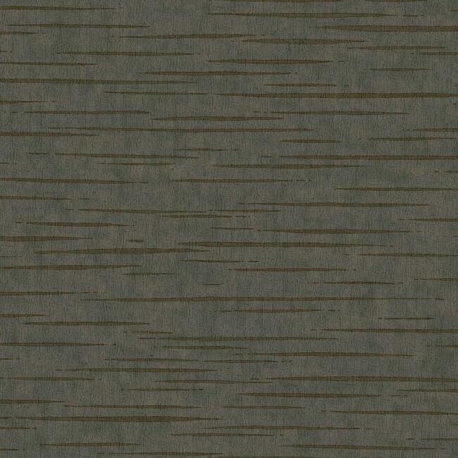 Tiger's Eye Wallpaper Wallpaper Antonina Vella Double Roll Charcoal 
