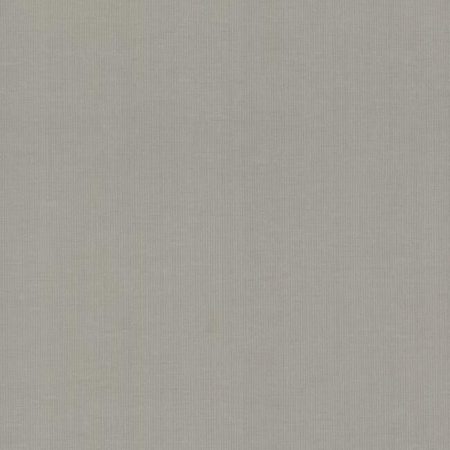 Gossamer Woven Wallpaper Wallpaper Antonina Vella Double Roll Silver/Grey 