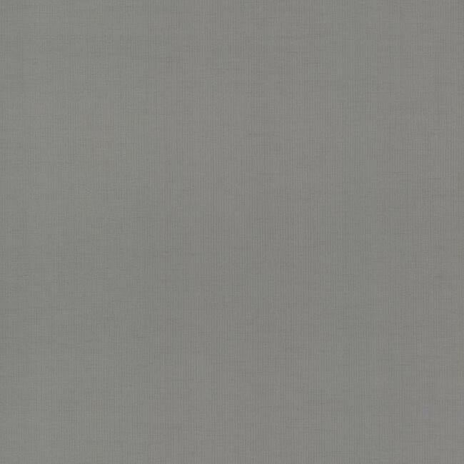 Gossamer Woven Wallpaper Wallpaper Antonina Vella Double Roll Silver/Blue 