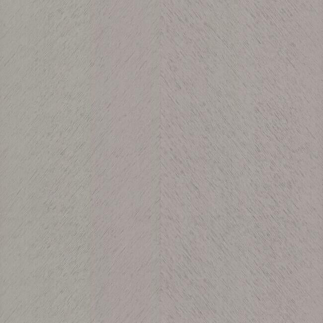 Etched Chevron Wallpaper Wallpaper Antonina Vella Double Roll Grey 