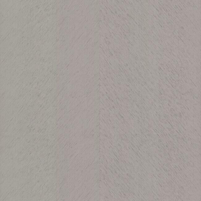 Etched Chevron Wallpaper Wallpaper Antonina Vella Double Roll Grey 