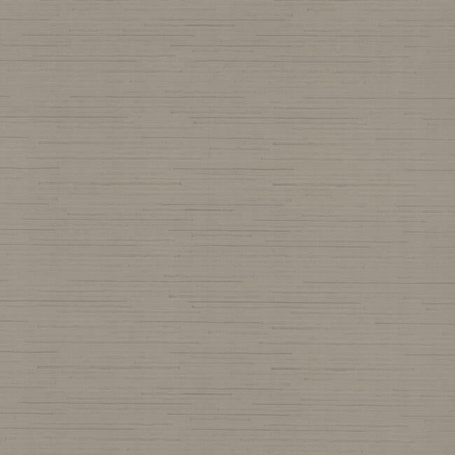 Ribbon Bamboo Wallpaper Wallpaper Antonina Vella Double Roll Taupe/Silver 