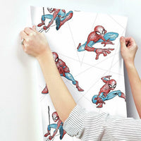 Spider-Man Fracture Wallpaper Wallpaper York   