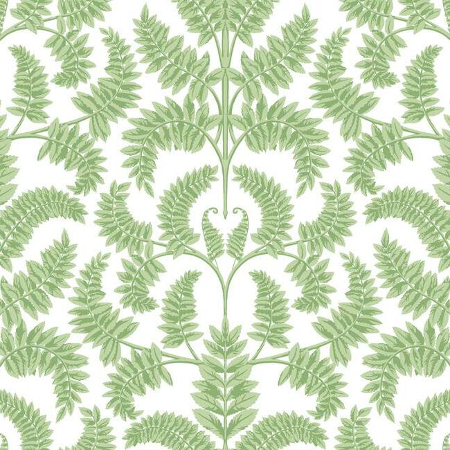 Royal Fern Damask Wallpaper Wallpaper York Double Roll Green 