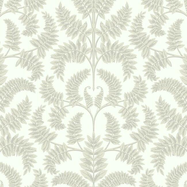 Royal Fern Damask Wallpaper Wallpaper York Double Roll Beige 