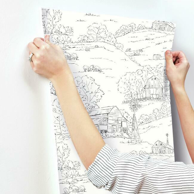 Pasture Toile Wallpaper Wallpaper York   