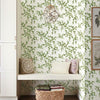 Creeping Fig Vine Wallpaper Wallpaper York   