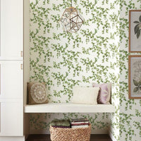 Creeping Fig Vine Wallpaper Wallpaper York   