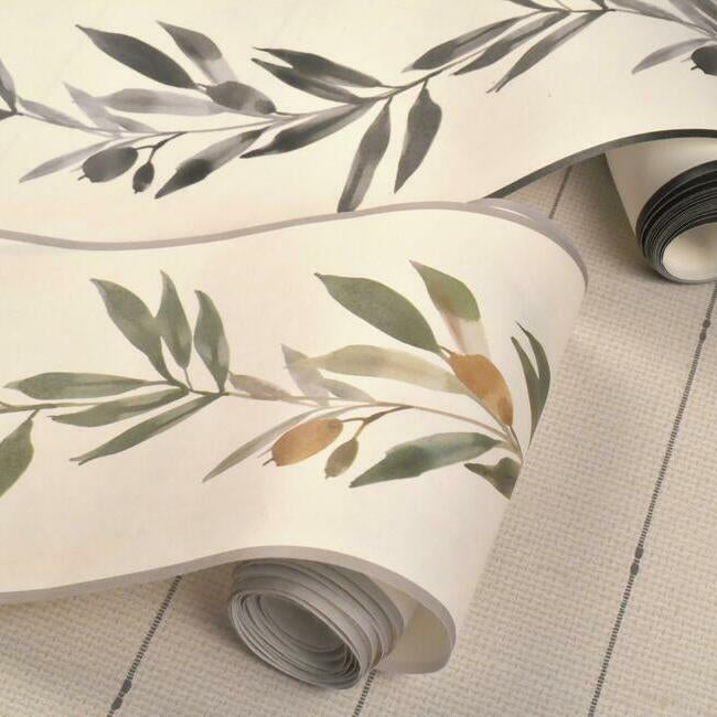 Olive Branch Wallpaper Border Wallpaper Border York   