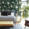 Dahlia Blooms Wallpaper Wallpaper York   