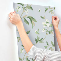 Springtime Wallpaper Wallpaper York   