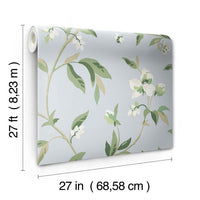 Springtime Wallpaper Wallpaper York   