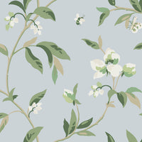 Springtime Wallpaper Wallpaper York Double Roll Sky/Eucalyptus 