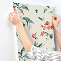 Springtime Wallpaper Wallpaper York   