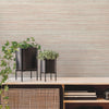 Fountain Grass Wallpaper Wallpaper York   