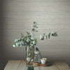 Fountain Grass Wallpaper Wallpaper York   