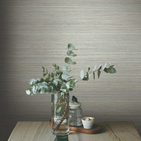Fountain Grass Wallpaper Wallpaper York   