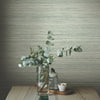 Fountain Grass Wallpaper Wallpaper York   