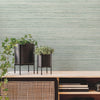 Fountain Grass Wallpaper Wallpaper York   