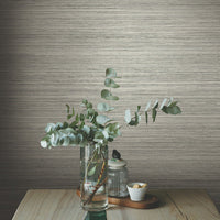 Fountain Grass Wallpaper Wallpaper York   