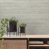Fountain Grass Wallpaper Wallpaper York   