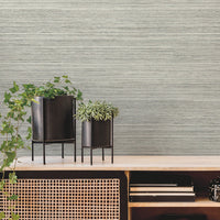 Fountain Grass Wallpaper Wallpaper York   