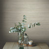 Fountain Grass Wallpaper Wallpaper York   