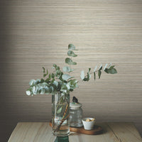 Fountain Grass Wallpaper Wallpaper York   