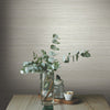 Fountain Grass Wallpaper Wallpaper York   