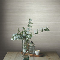 Fountain Grass Wallpaper Wallpaper York   