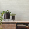Fountain Grass Wallpaper Wallpaper York   