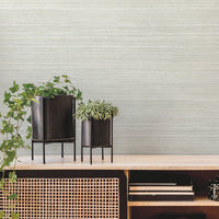 Fountain Grass Wallpaper Wallpaper York   