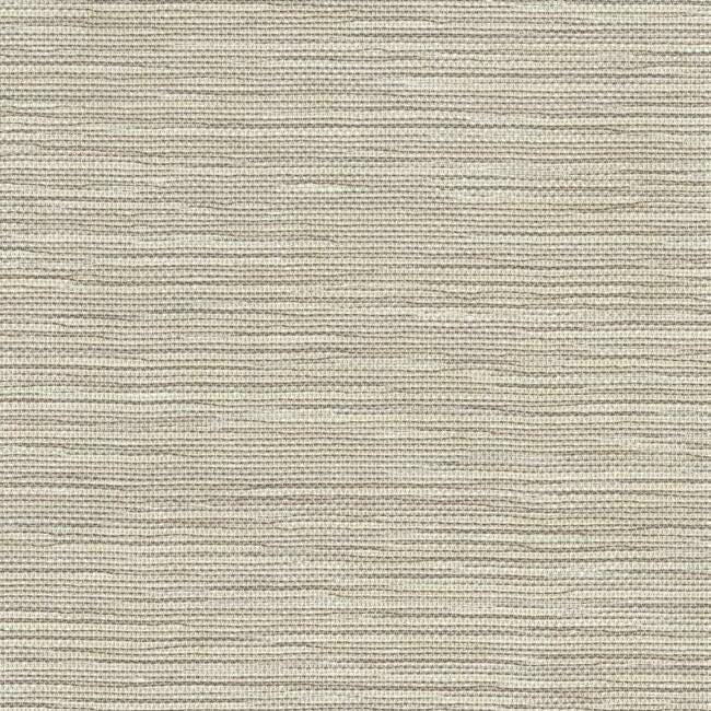 Masaka Wallpaper Wallpaper Ronald Redding Designs Double Roll Taupe 