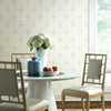 Evening Star Wallpaper Wallpaper York   