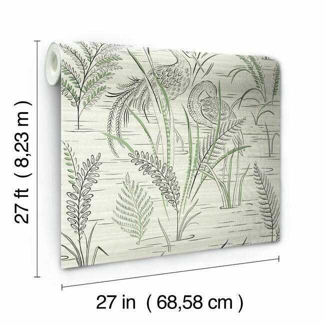 Fernwater Cranes Wallpaper Wallpaper York   