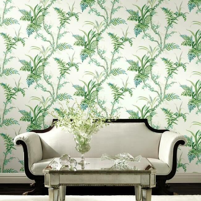 Enchanted Fern Wallpaper Wallpaper York   
