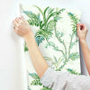 Enchanted Fern Wallpaper Wallpaper York   