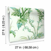 Enchanted Fern Wallpaper Wallpaper York   