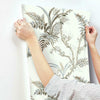 Enchanted Fern Wallpaper Wallpaper York   