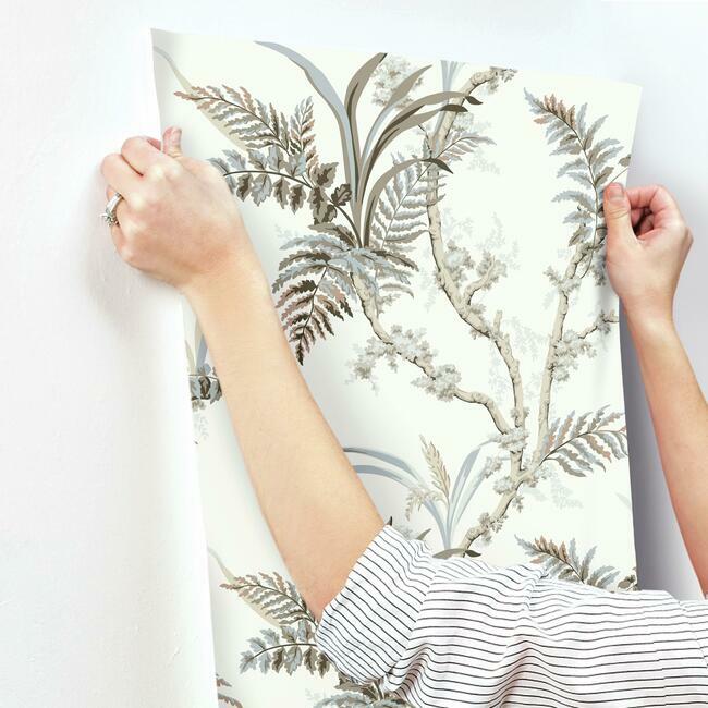 Enchanted Fern Wallpaper Wallpaper York   