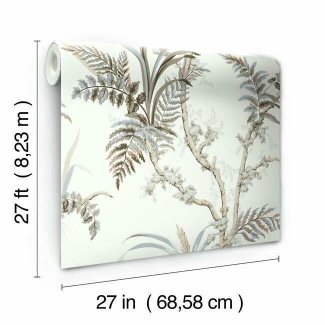 Enchanted Fern Wallpaper Wallpaper York   